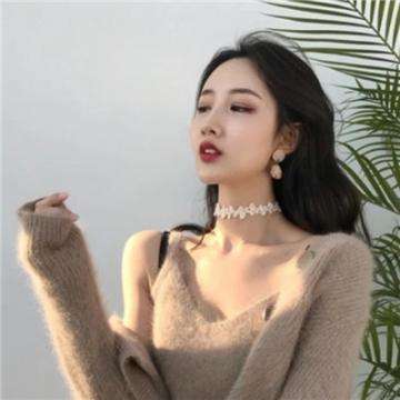 河狸计划破解版下载